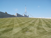 Parliament House lawns